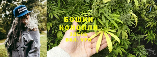 ГАЛЛЮЦИНОГЕННЫЕ ГРИБЫ Армянск