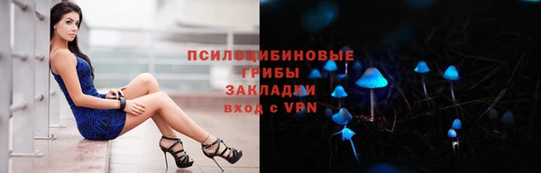 ГАЛЛЮЦИНОГЕННЫЕ ГРИБЫ Армянск